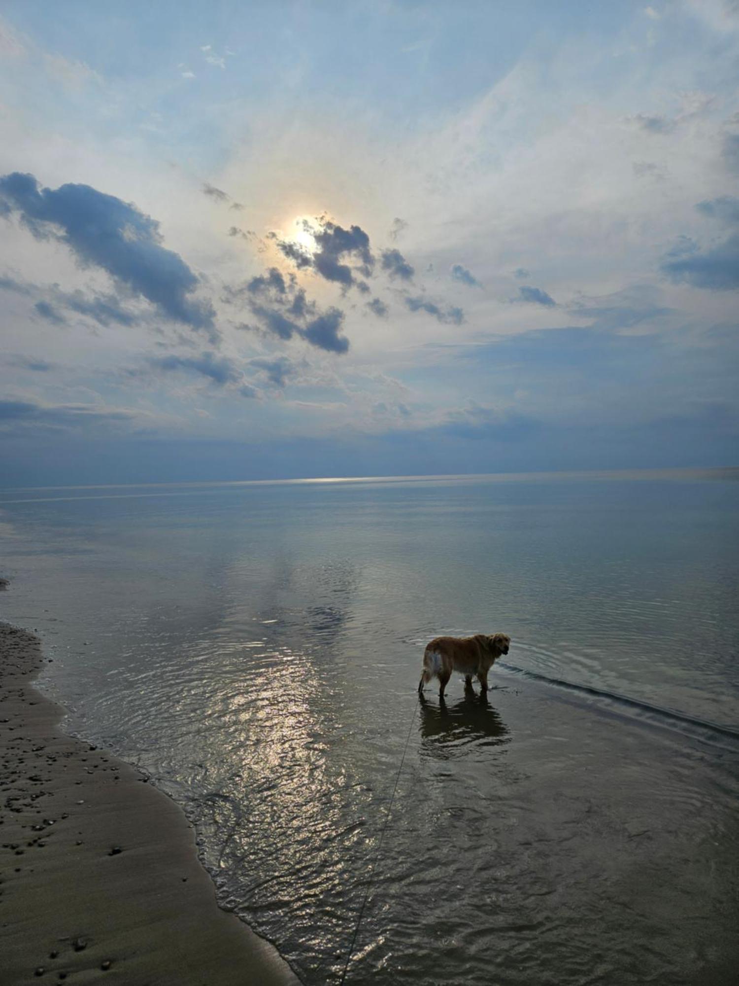 Baltic Nature Łukęcin 外观 照片